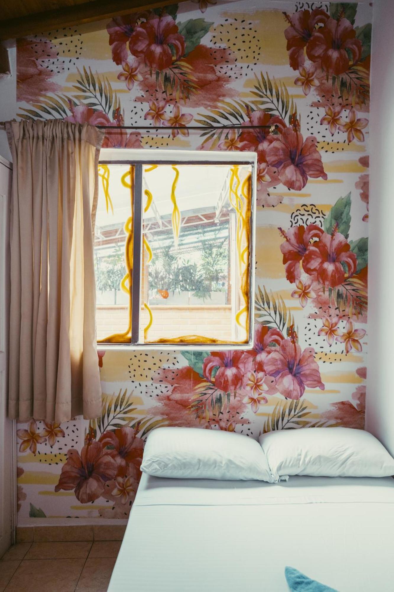 Hostal Pura Vida La 70 Medellín Extérieur photo